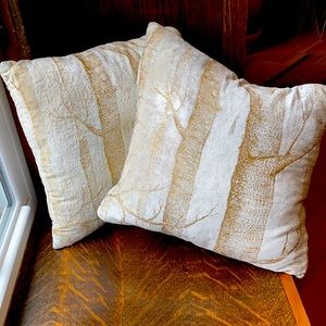Pair of Pier One Velvet Pillows